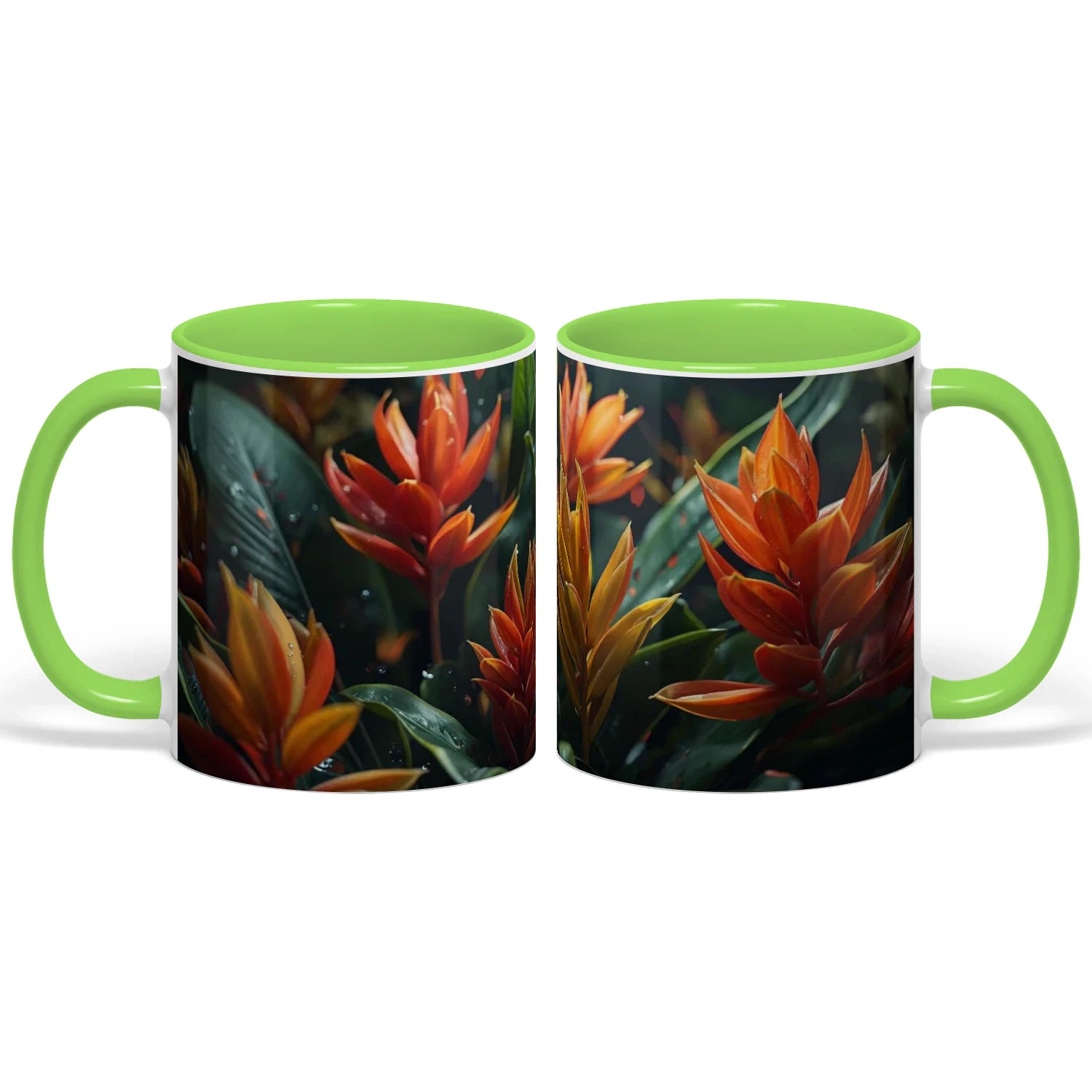 {"origin":"mayzing","colors":["Light Green"],"sizes":["11 oz"],"isMainImage":false}