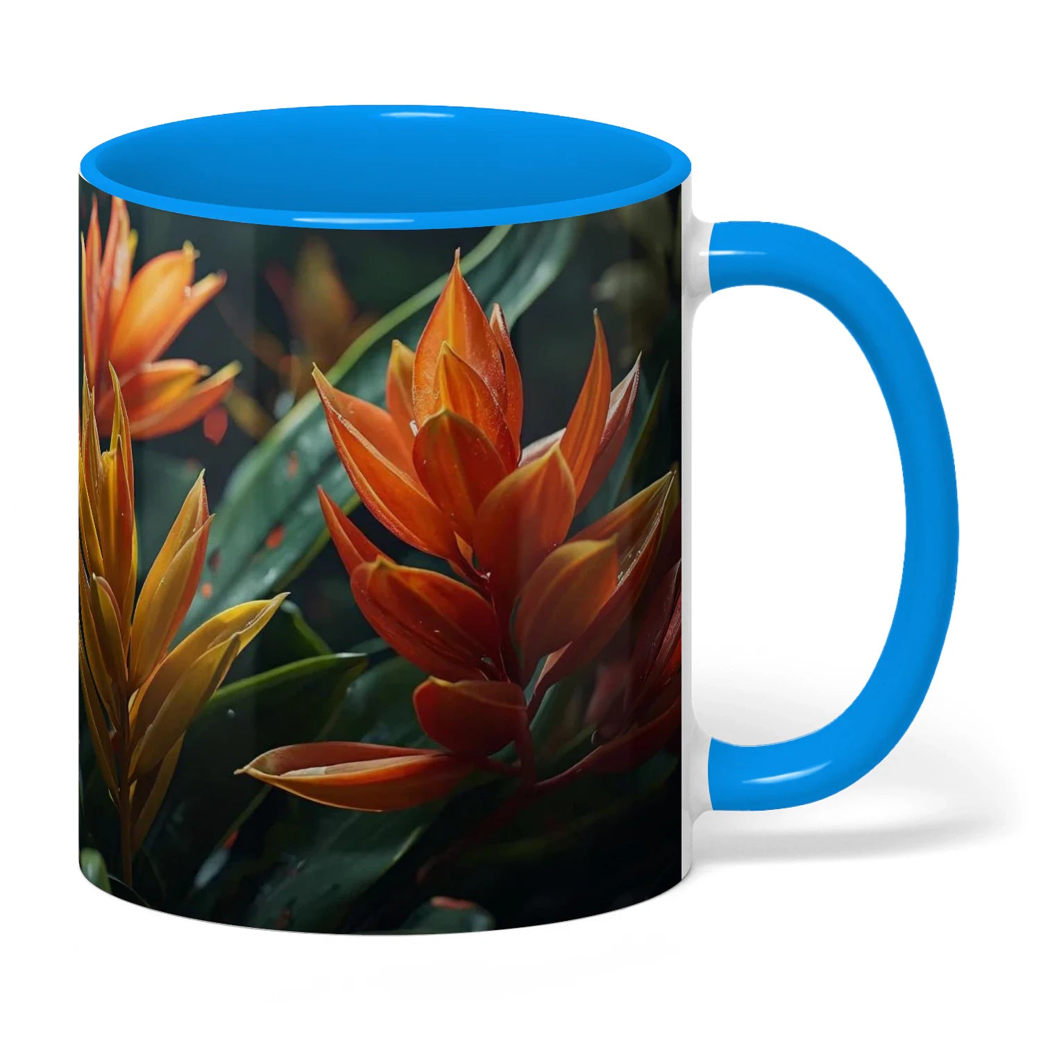 {"origin":"mayzing","colors":["Blue"],"sizes":["11 oz"],"isMainImage":false}