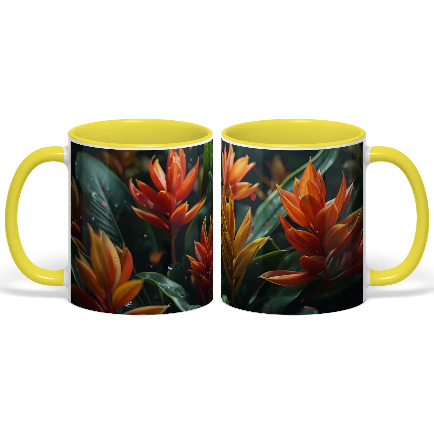 {"origin":"mayzing","colors":["Yellow"],"sizes":["11 oz"],"isMainImage":false}